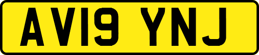 AV19YNJ