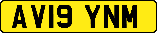 AV19YNM