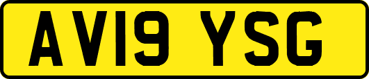 AV19YSG
