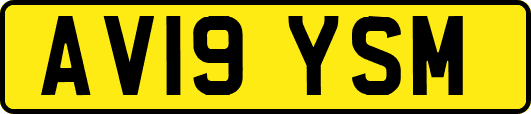 AV19YSM