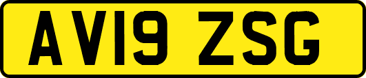AV19ZSG