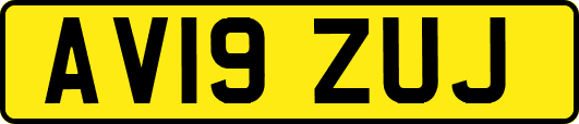 AV19ZUJ