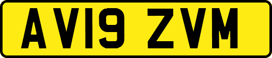 AV19ZVM
