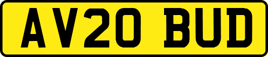 AV20BUD
