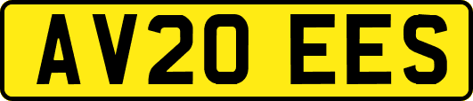 AV20EES