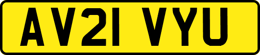 AV21VYU