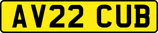 AV22CUB