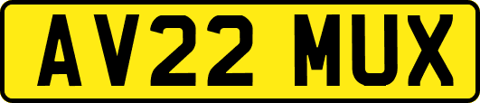 AV22MUX