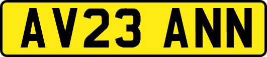 AV23ANN