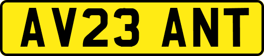 AV23ANT