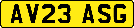 AV23ASG
