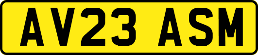 AV23ASM