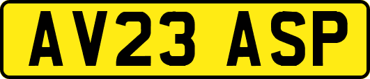 AV23ASP
