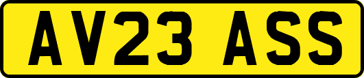 AV23ASS