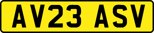 AV23ASV