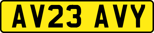 AV23AVY
