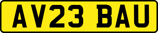 AV23BAU