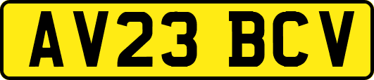 AV23BCV