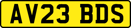 AV23BDS