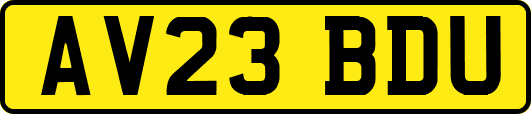AV23BDU