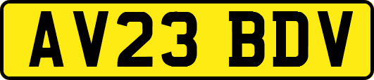 AV23BDV