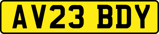 AV23BDY