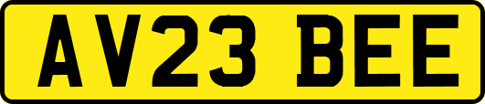 AV23BEE