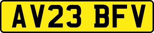 AV23BFV