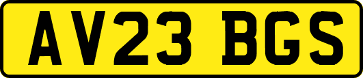 AV23BGS