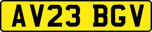 AV23BGV