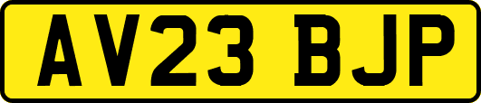 AV23BJP