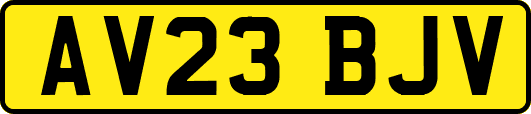AV23BJV