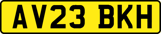 AV23BKH