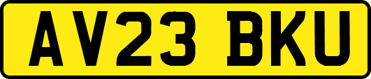 AV23BKU
