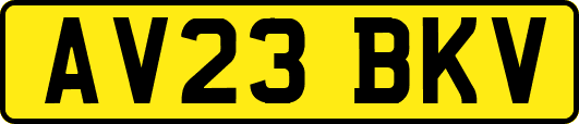 AV23BKV