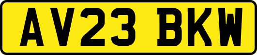 AV23BKW