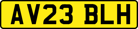 AV23BLH