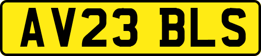 AV23BLS