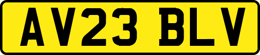 AV23BLV