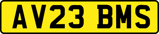 AV23BMS