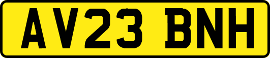 AV23BNH