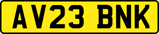 AV23BNK