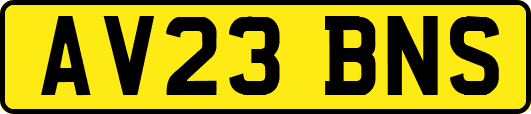 AV23BNS