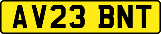 AV23BNT