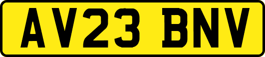 AV23BNV