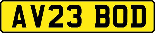 AV23BOD