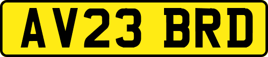 AV23BRD