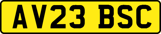 AV23BSC