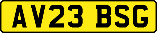 AV23BSG