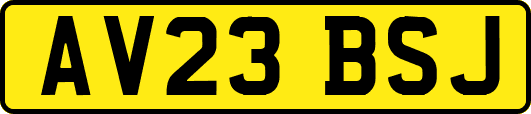 AV23BSJ